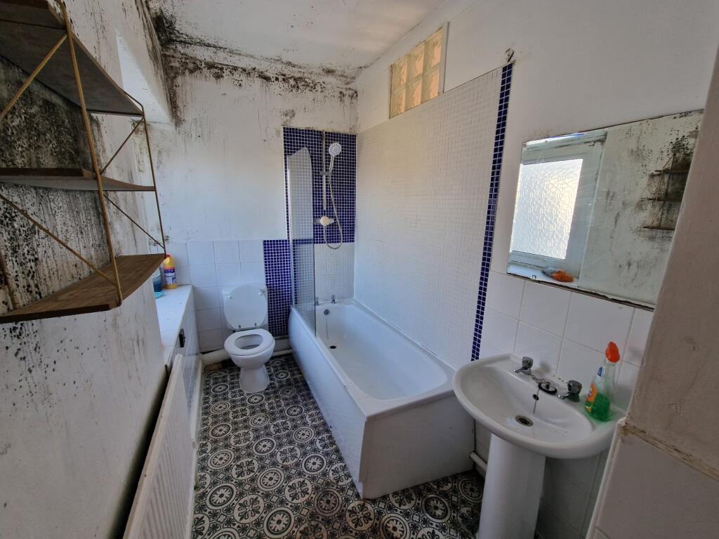 IMAGE 10