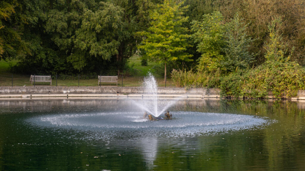 Nearby Parks