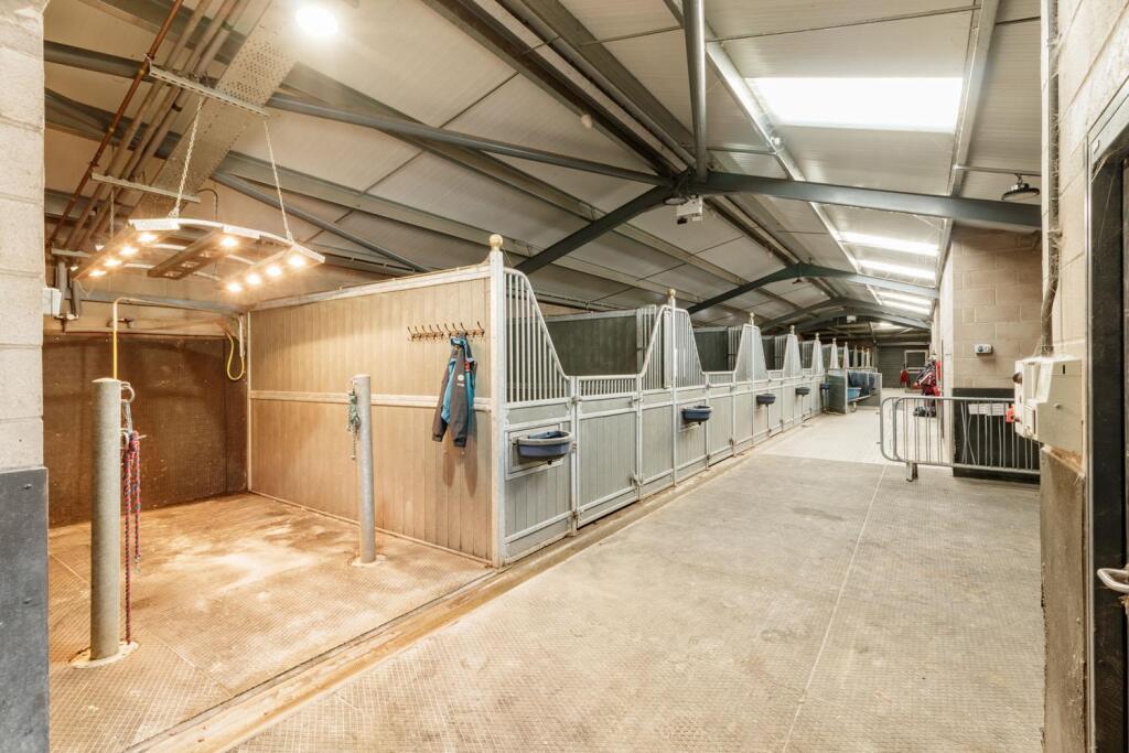 Willowsway Stud,_81-web.jpg