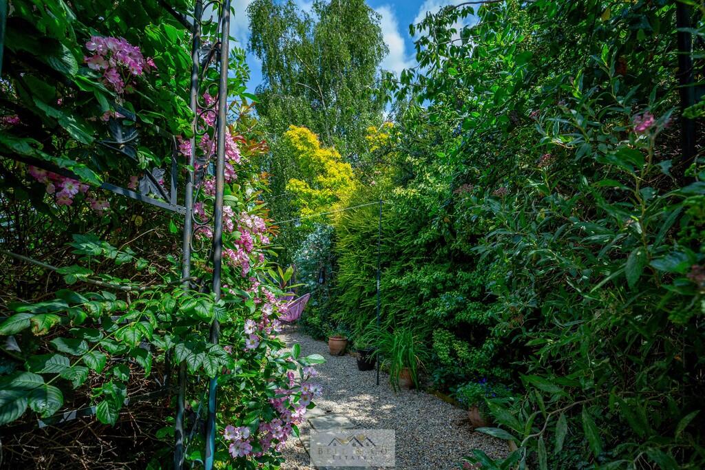 Back garden 1.3