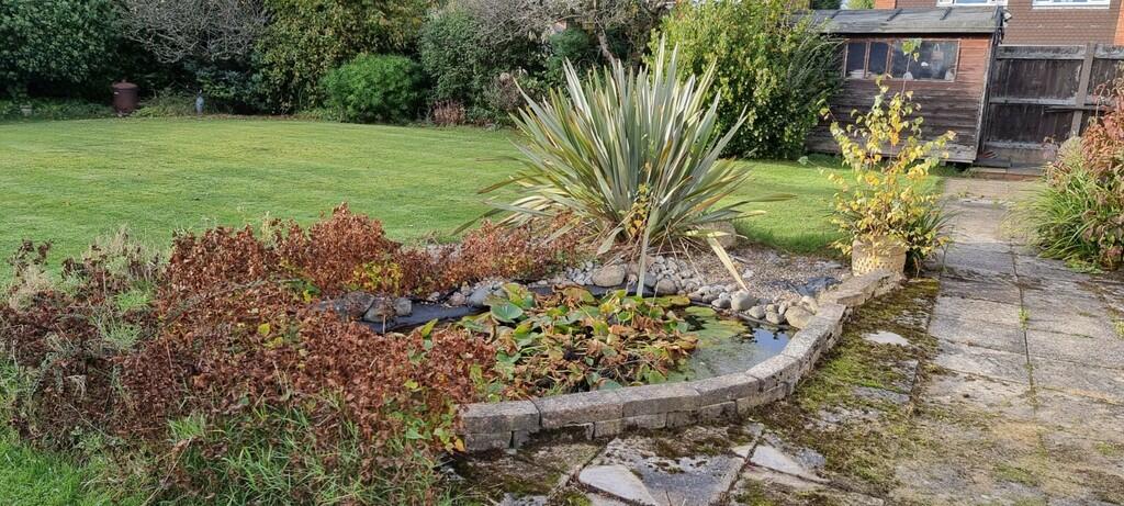 Rear garden