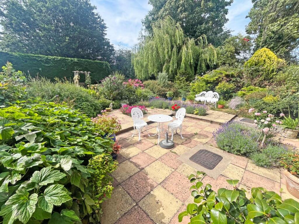 Garden 4.jpg
