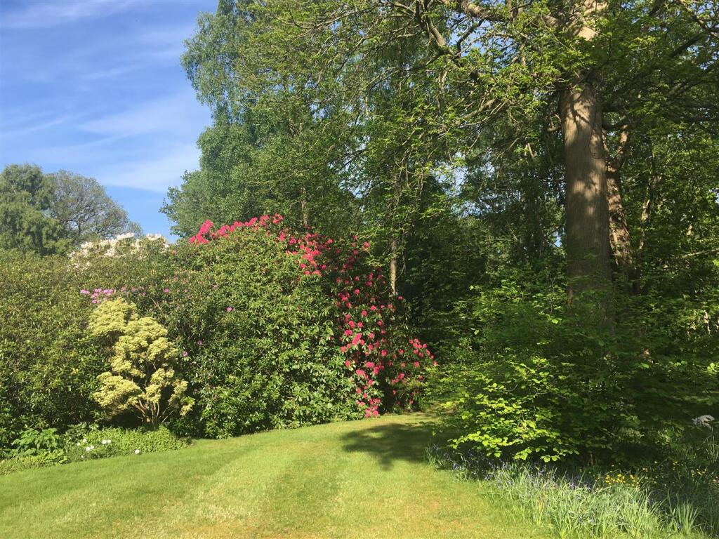 garden 7.jpg