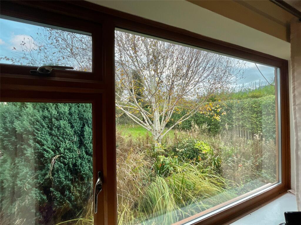 Window View