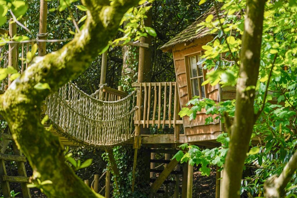 Tree House