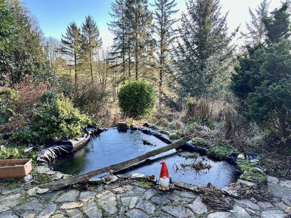 Feature Pond