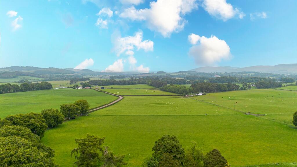 Aerial Shots (1).jpg