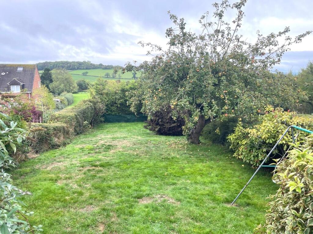 Garden.JPG