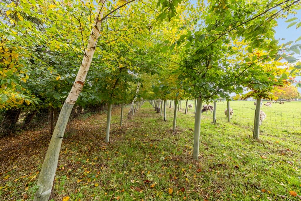 Greenfield Farm Cottages (Saracens Head)-39