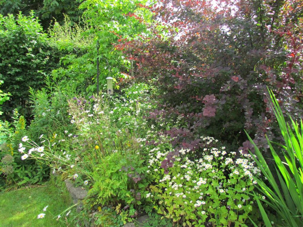IMG_0507.JPG