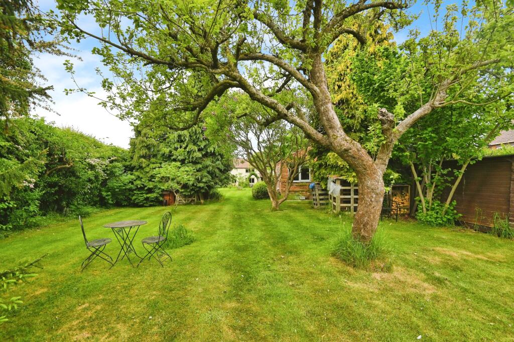 Large Garden