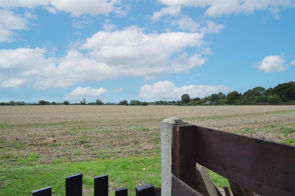 Bottom of the garden.JPG