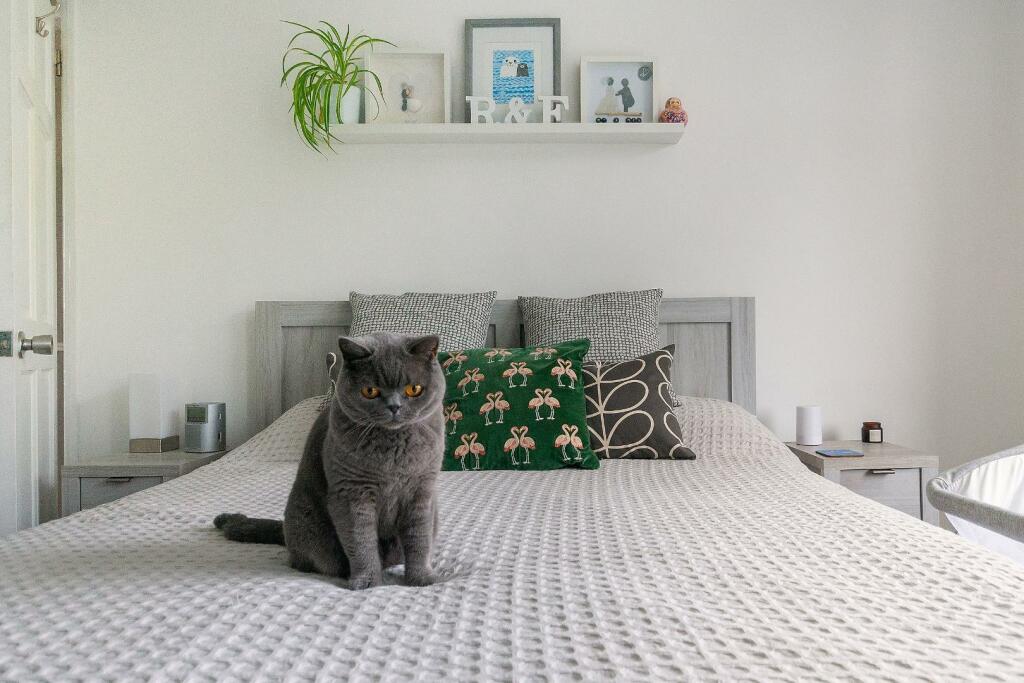 8T5RHD - Bedroom C.jpg