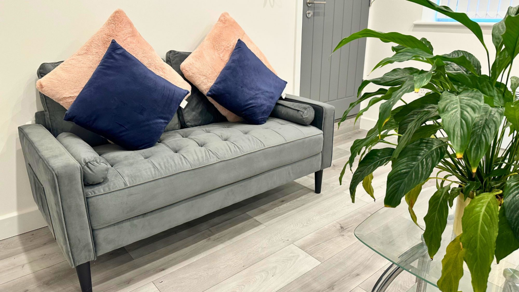 Lounge / Kitchen / Diner