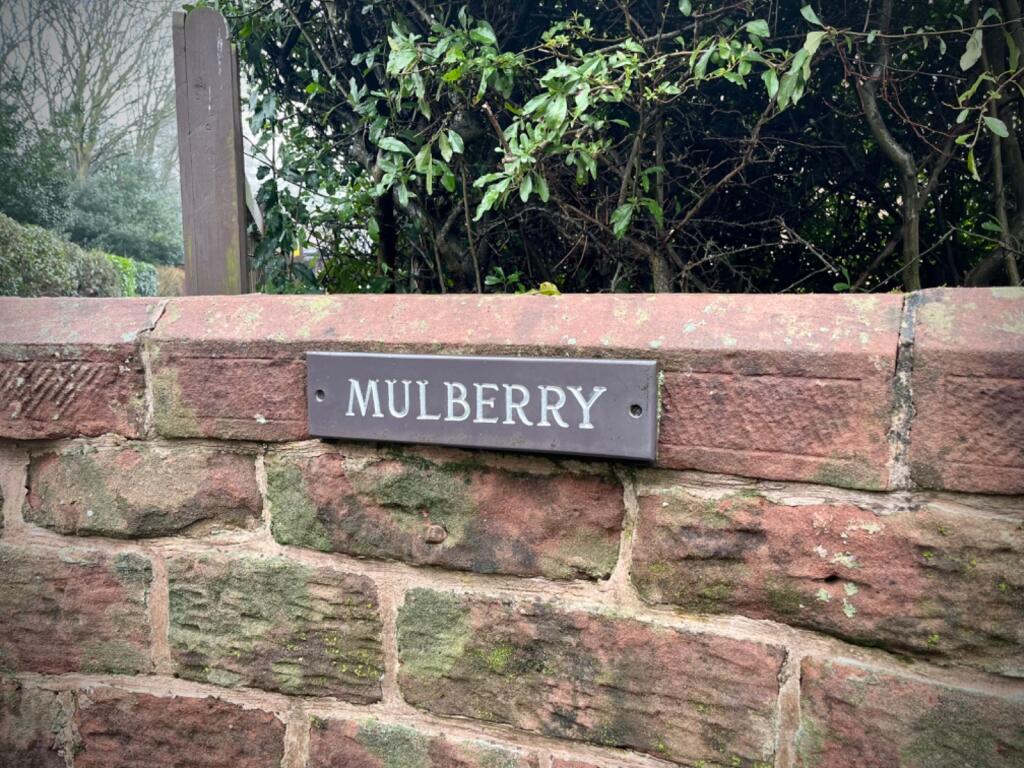 Mulberry