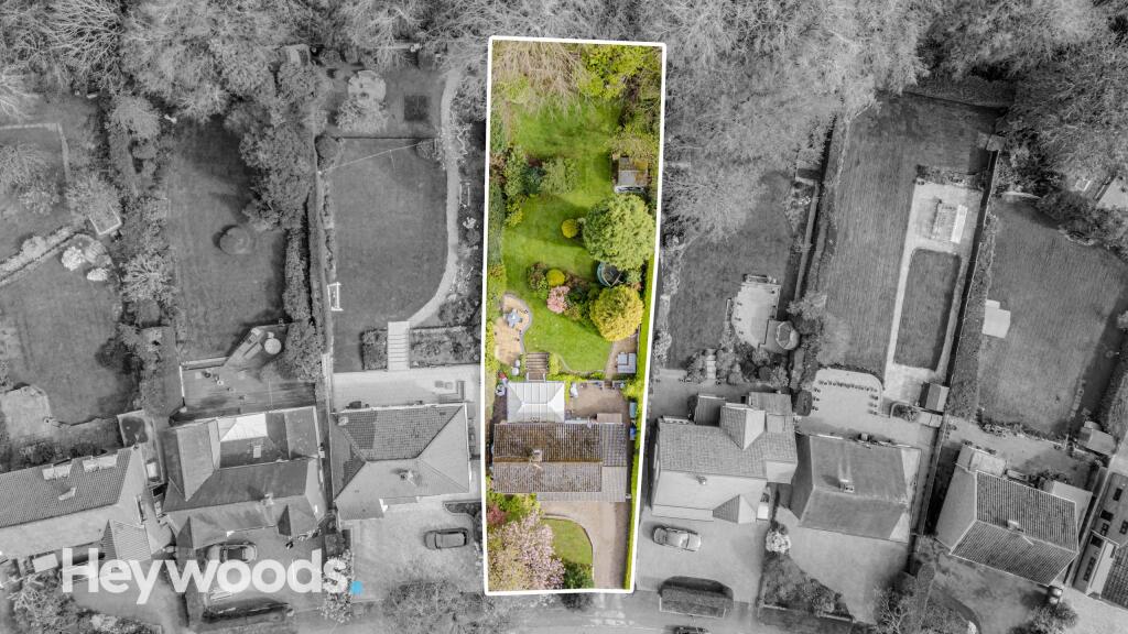 20240420-DJI_0137-Enhanced-SR - Copy