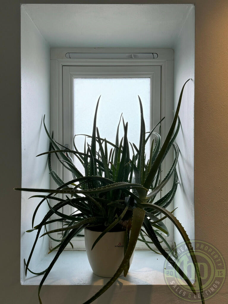 Bathroom Window 1