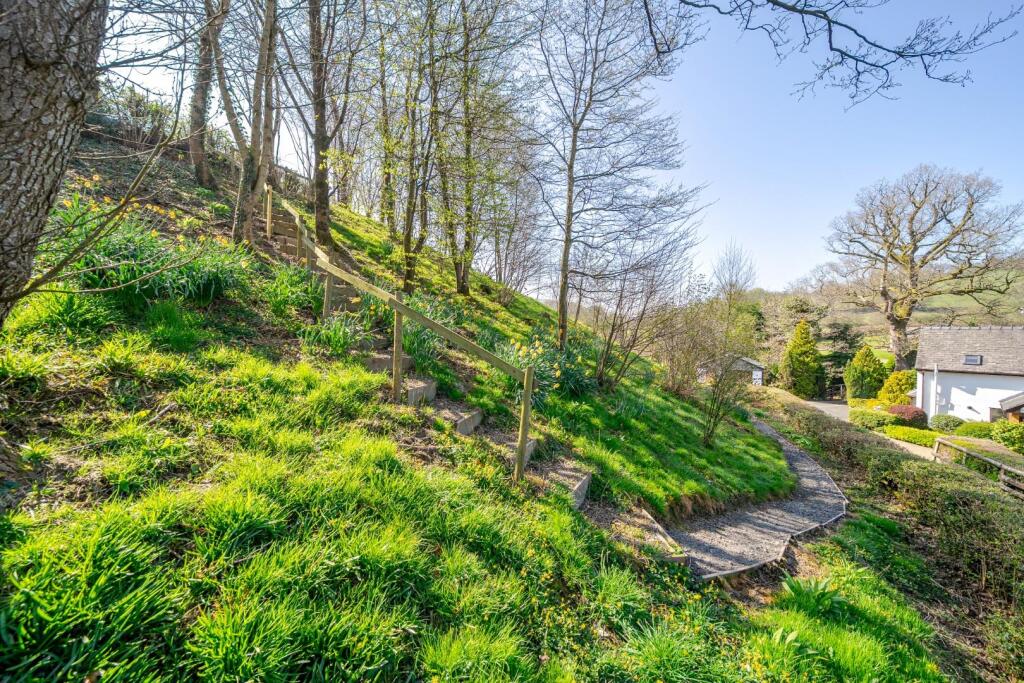 Rear garden steps.JPG