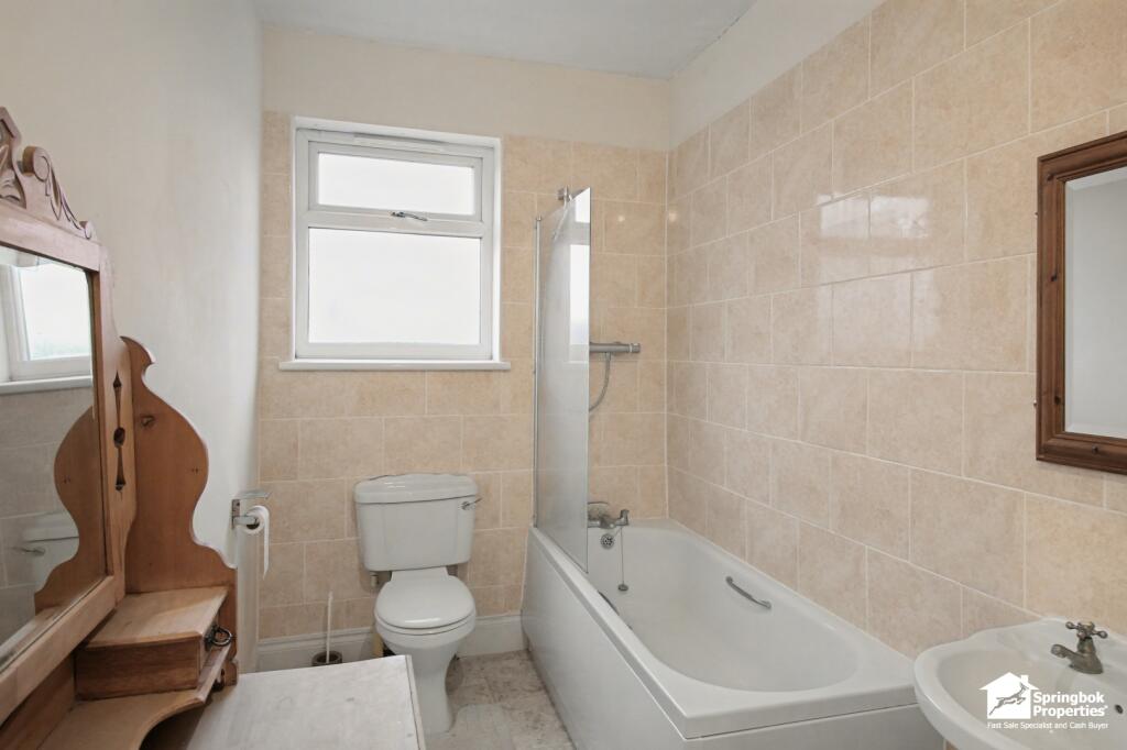 IMAGE 11