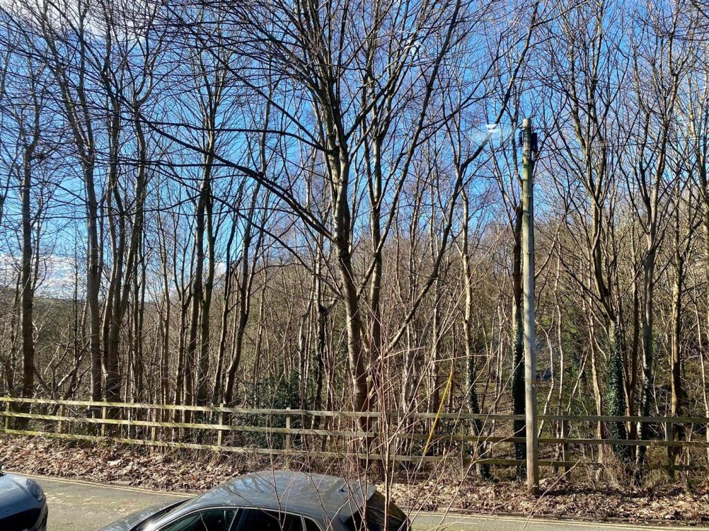 outlook from front.jpg