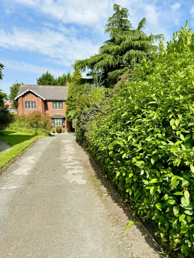 PHOTO-2024-09-14-09-43-15 copy