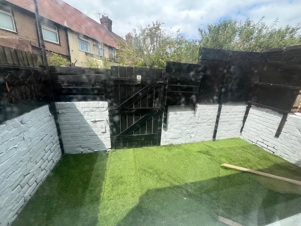 Back Yard