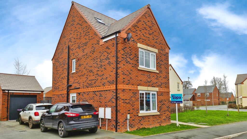 9f6d53ff-20250213_131800