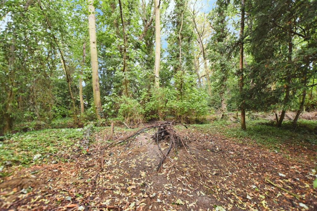 Woodland