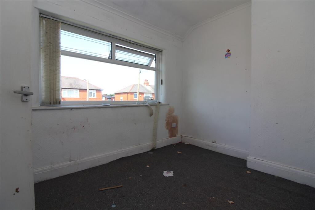 IMG 5319  Medium  T202505231115.jpg