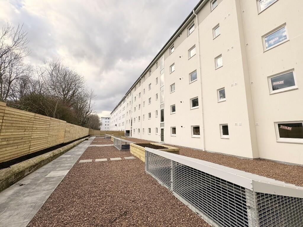 Rear court