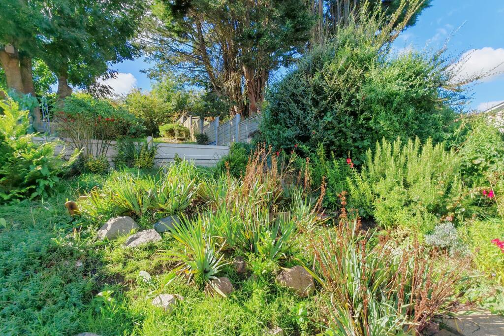 IMG_20240928_120352_edit_351880515395142