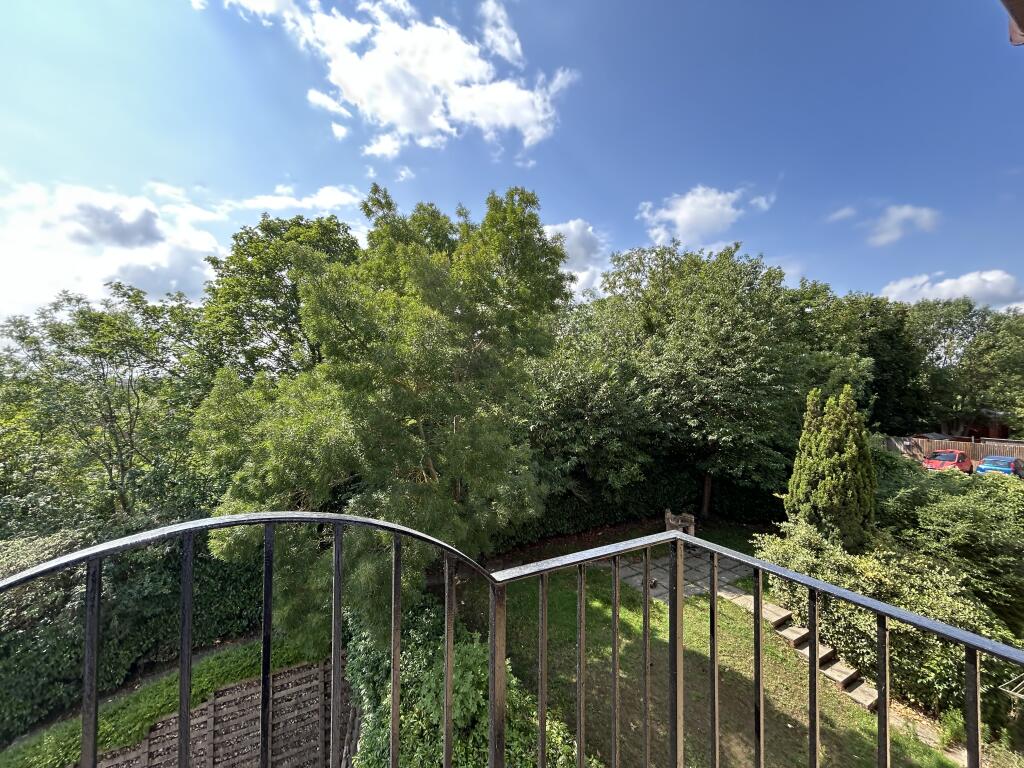 IMG 4845 T202508011424.jpg