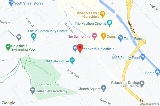 Google Maps Image