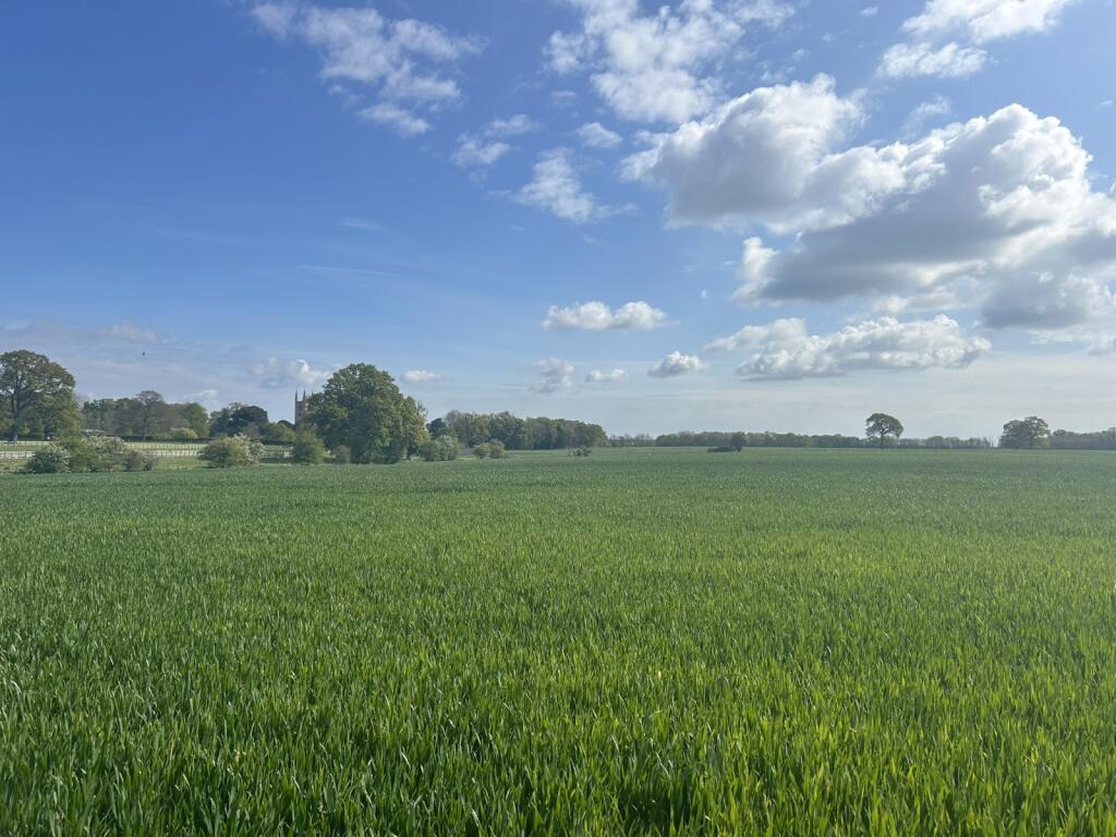Lot 1