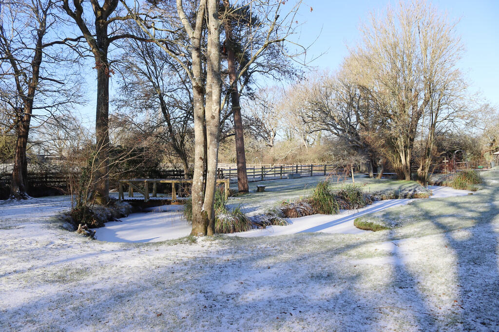 2026-01-05 12.21....