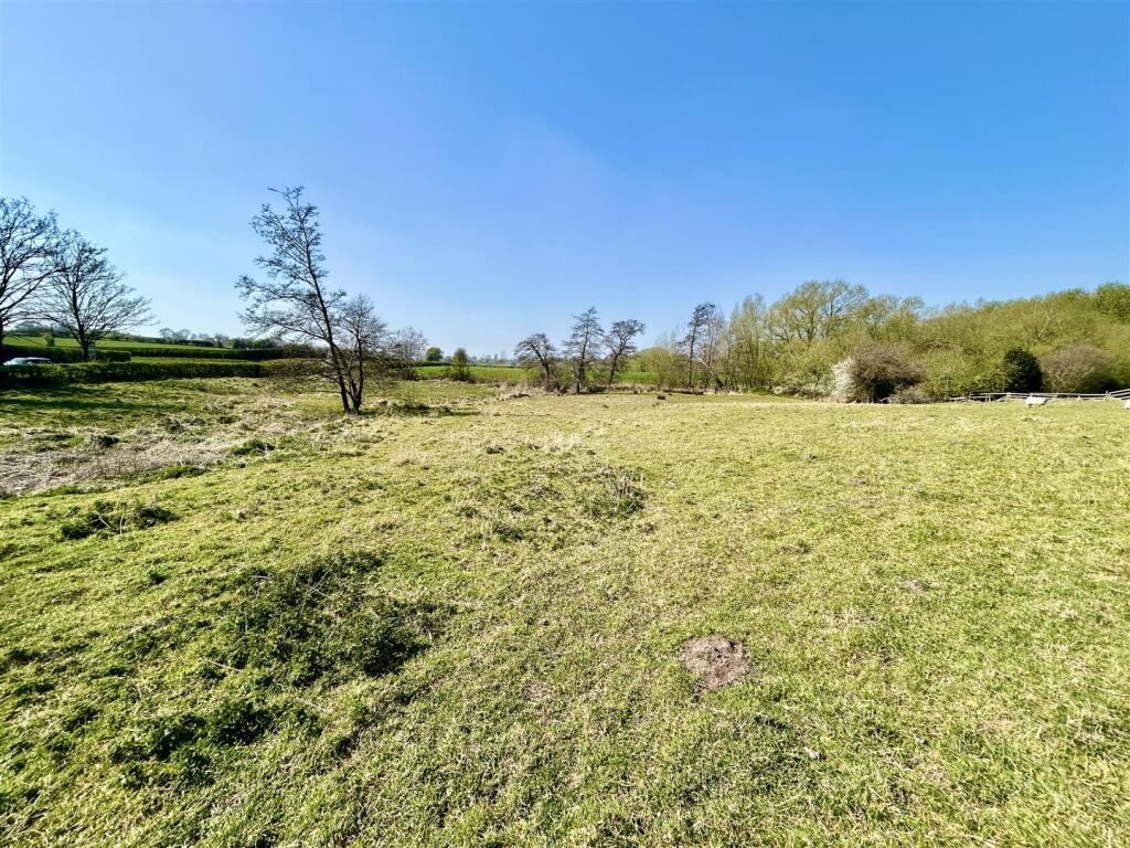 field.JPG
