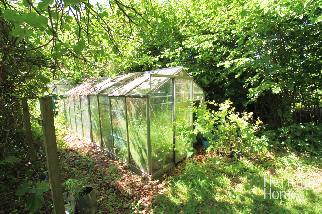 IMG_6569-fotor-20250513125423