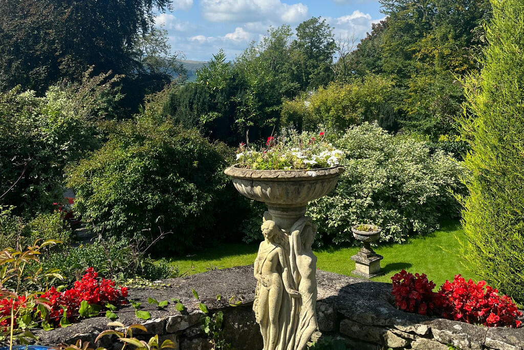 Garden in summer ...