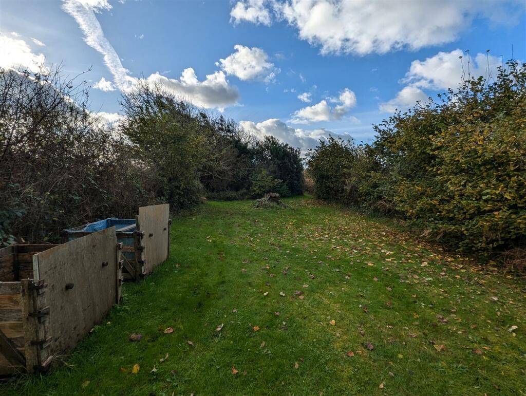 Cleared ground before woods