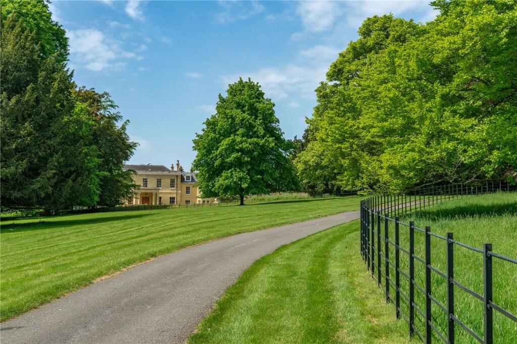 Driveway