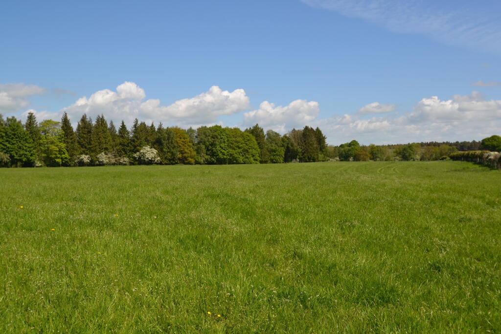 Lot 1