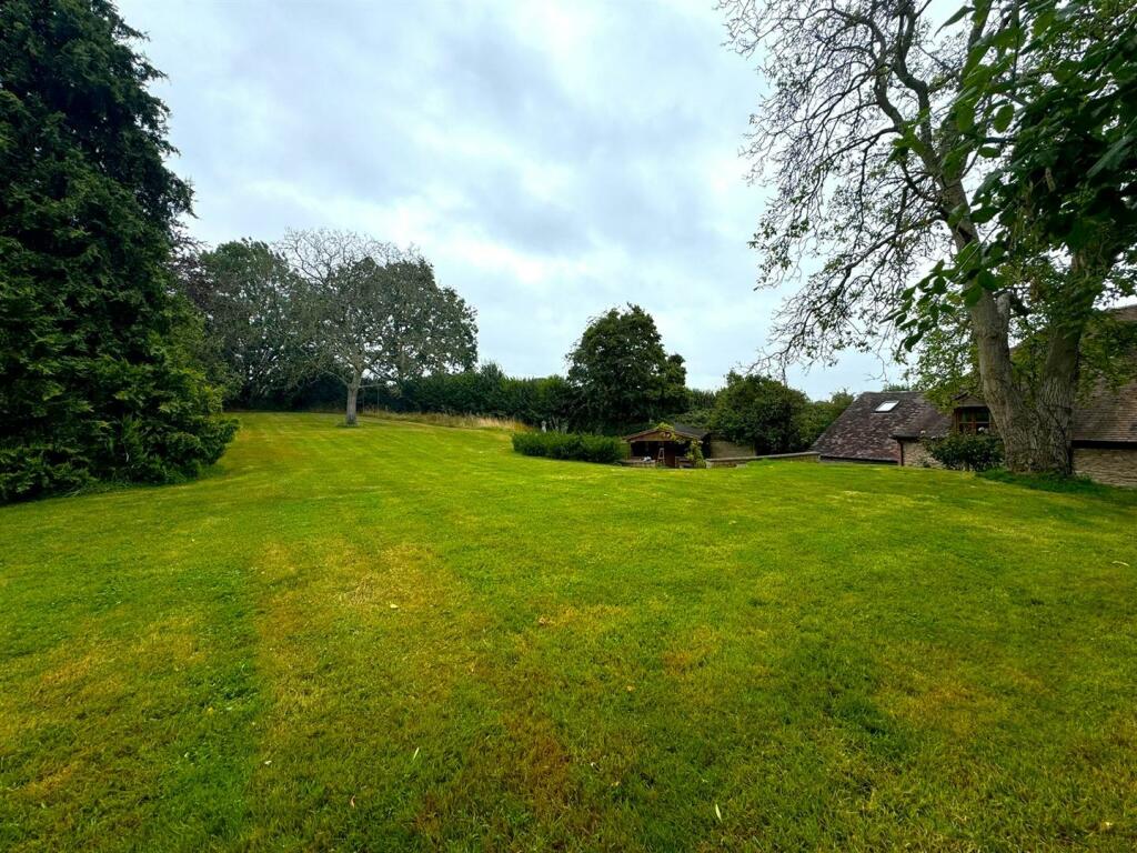rear garden.jpg