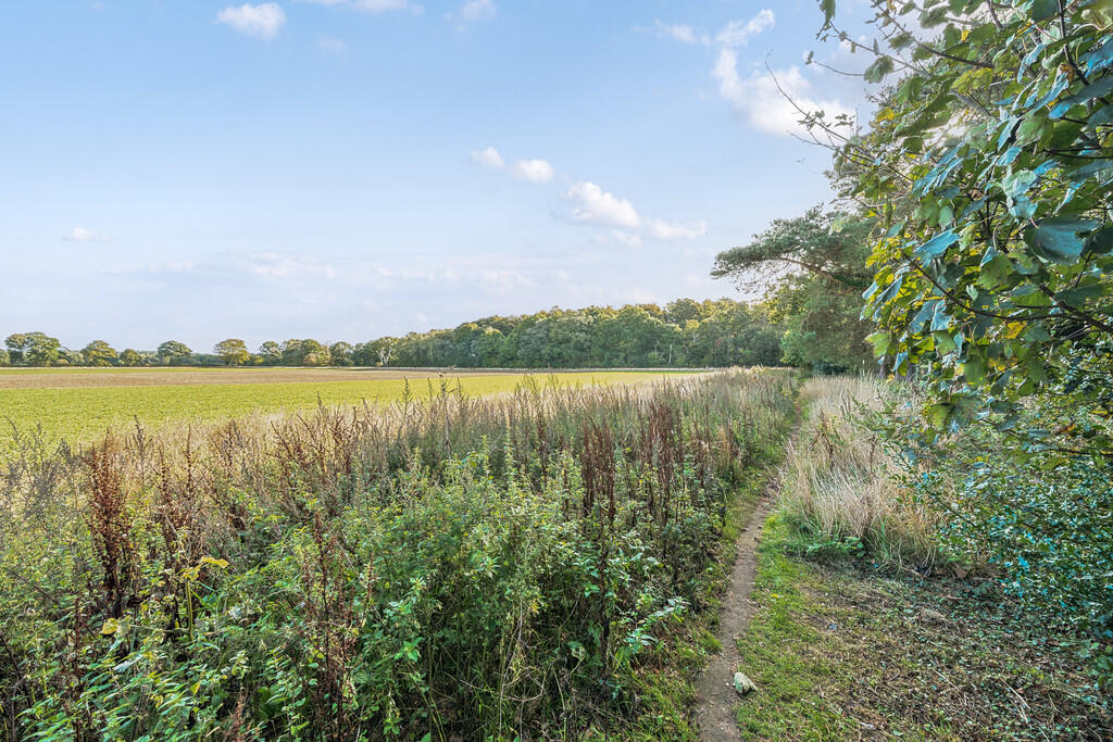 1358046-8-68d5350...