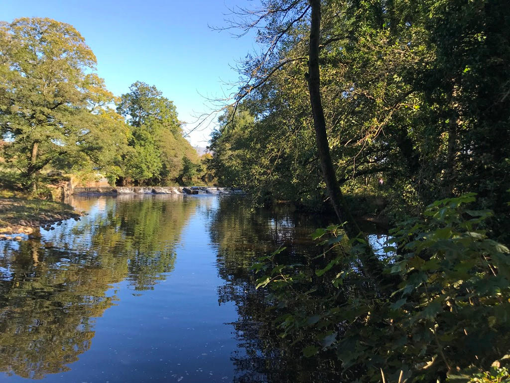 River Wenning