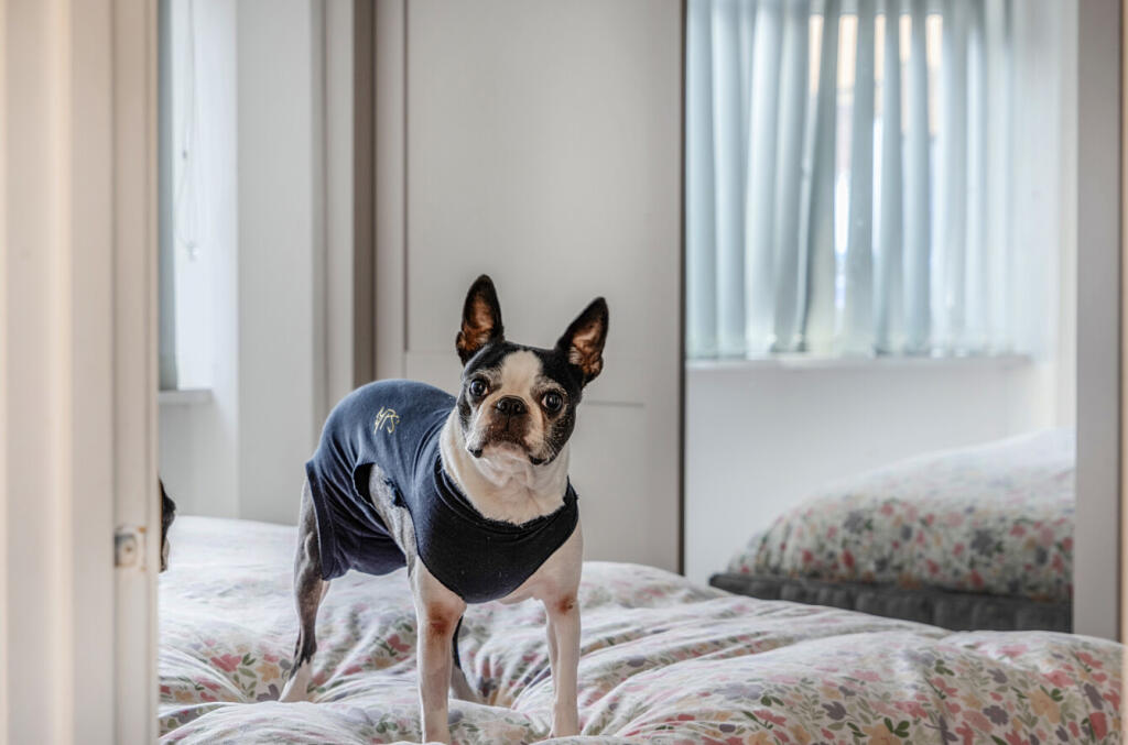 1383352-21-6929d0...