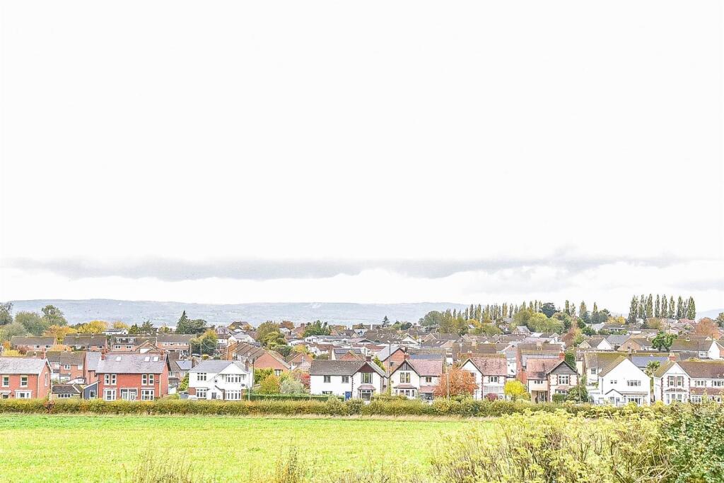 leaf ground view.jpg