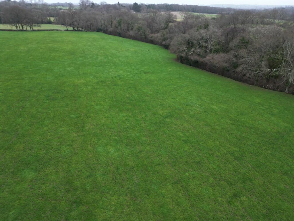 Lot 5