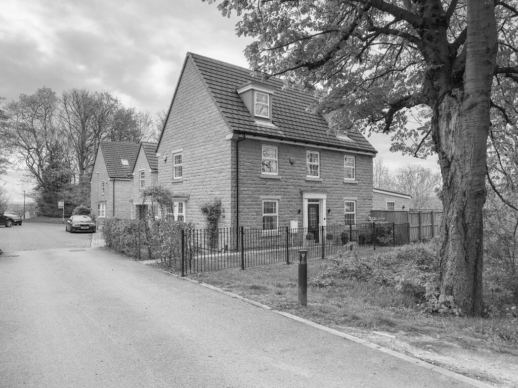 Photograph 48