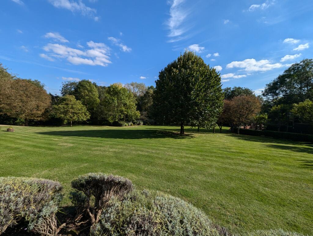 Communal Grounds