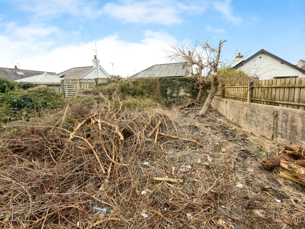 SEIRIOL6 T202511171744.jpg